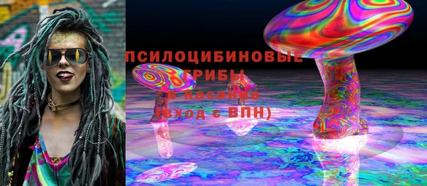 крисы Переславль-Залесский
