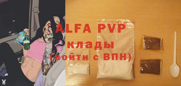 крисы Переславль-Залесский