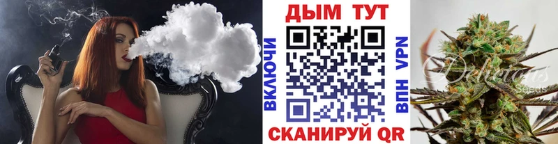 Марихуана гибрид  Стародуб 